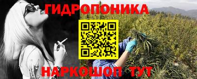 a pvp Гусев
