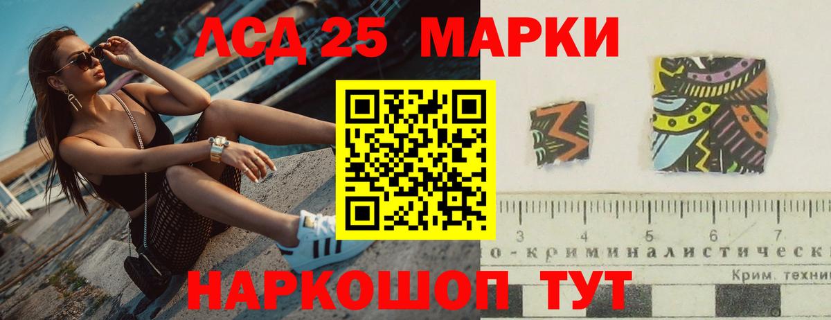 Кингисепп  ЛСД экстази кислота  Лсд 25 экстази кислота  Вход с VPN 
